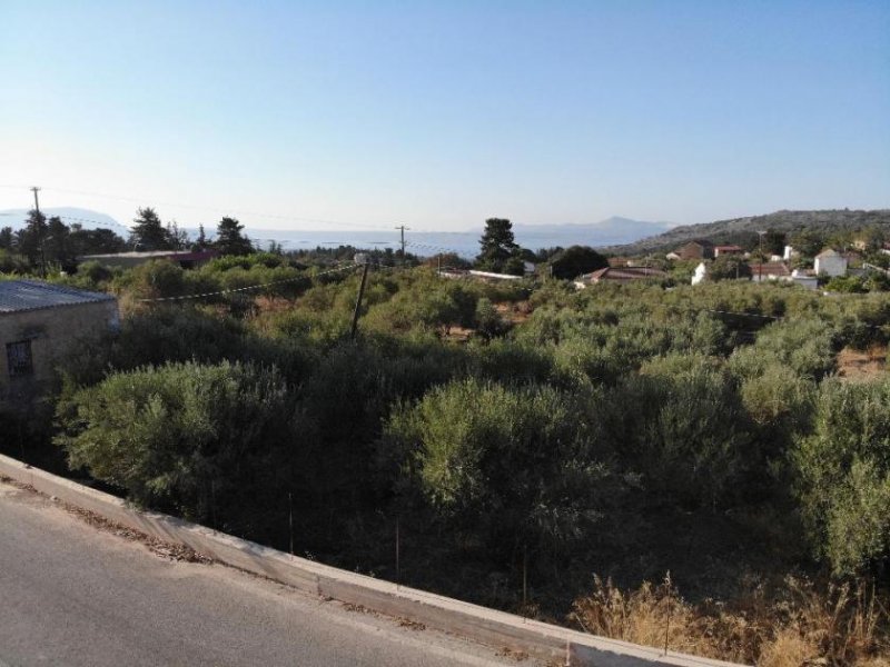 Xirosterni Kreta, Xirosterni: Grundstück in ruhiger Lage mit Berg- und Meerblick zu verkaufen Grundstück kaufen